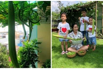 Thích thú ngắm giàn mướp trĩu quả trong nhà sao Việt 