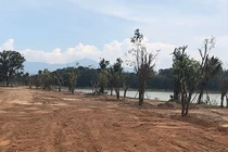 Hé lộ số tiền phạt và truy thu thuế "khủng" của Tập đoàn Trường Tiền