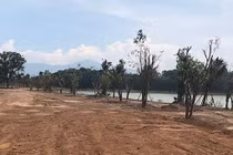 Hé lộ số tiền phạt và truy thu thuế "khủng" của Tập đoàn Trường Tiền