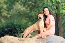 Cận cảnh trang trại chó Phú Quốc bạc tỷ của 8X Hà thành