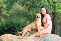 Cận cảnh trang trại chó Phú Quốc bạc tỷ của 8X Hà thành