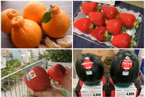 5 loại trái cây “siêu quý”, có tiền chưa chắc mua được