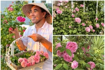 Mê mẩn vườn hồng rực rỡ trong biệt thự của MC Quyền Linh