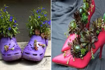 Những kiểu trồng cây bá đạo không bao giờ lo “đụng hàng” 