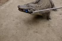 Sửng sốt cách chơi ngông bằng điện thoại của giới trẻ