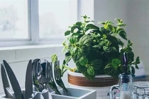 Phong thủy nhà bếp cần kiêng kị những gì?