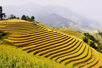 Những tour du lịch giá mềm hút khách dịp 2/9