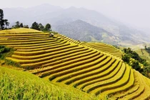 Những tour du lịch giá mềm hút khách dịp 2/9