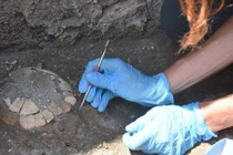 Sinh vật 2.000 tuổi nguyên vẹn và gây choáng váng ở thành phố hóa đá