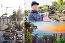 “Đột nhập” những khu vườn trị giá hàng trăm triệu, tỷ đồng trong nhà sao Việt