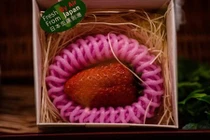 Bạn có dám mua dâu tây đắt nhất thế giới 500.000 đồng/quả?