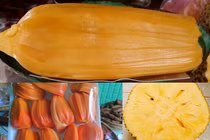 3 giống mít lạ gây sốt ở Việt Nam đắt đỏ cỡ nào?