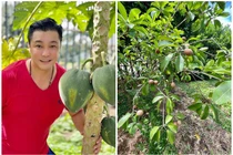 Khu vườn xanh mướt trong biệt thự 700m2 của Lý Hùng