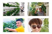 Ngắm vườn rau xanh tốt trong nhà sao Việt