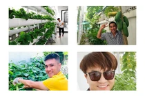 Ngắm vườn rau xanh tốt trong nhà sao Việt