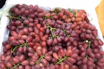 Sự thật "hãi hùng" đằng sau loại nho kẹo rừng đang gây sốt thị trường