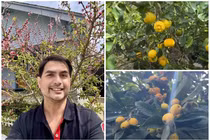 Khu vườn “vạn người mê” của người mẫu Đức Tiến tại Mỹ