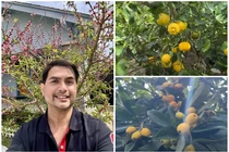 Khu vườn “vạn người mê” của người mẫu Đức Tiến tại Mỹ