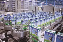 Đại gia bí ẩn lại vung tiền lần thứ 3 mua cổ phiếu Vinamilk 