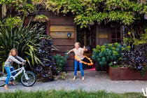 Nhà gỗ bao phủ cây xanh siêu độc giữa làng quê