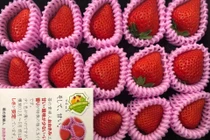 4 loại dâu tây Nhật giá “chát” hút nhà giàu Việt 