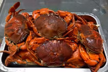 Loại cua trông “khù khờ” hơn nửa triệu đồng/kg vẫn hút khách