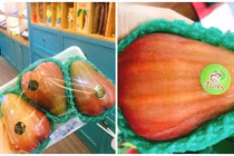 Roi khổng lồ giá “khủng”, chị em vẫn săn về giải nhiệt