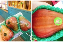 Roi khổng lồ giá “khủng”, chị em vẫn săn về giải nhiệt