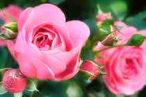 Người có giờ sinh này, ra cửa gặp quý nhân, phúc khí thịnh vượng