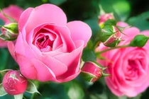 Người có giờ sinh này, ra cửa gặp quý nhân, phúc khí thịnh vượng