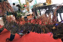 Phát sốt nấm lim xanh "rồng" khổng lồ hình giá 100 triệu 