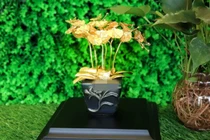 Gợi ý những món quà độc lạ, ý nghĩa tặng thầy cô ngày 20/11