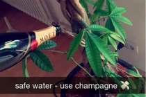 Choáng ngợp thú ăn chơi vương giả của con nhà giàu khắp thế giới