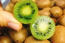 Cận cảnh kiwi rừng giá “bèo” chị em tranh nhau mua