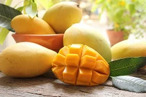 Xoài Cát Chu xuất sang Nhật 100.000 đồng/quả được trồng thế nào?