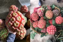 “Thần dược phòng the” 500.000 đồng/kg vẫn cháy hàng có gì đặc biệt?