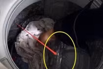 Dùng 2 chai nước bỏ vào máy giặt, kết quả cực bất ngờ 