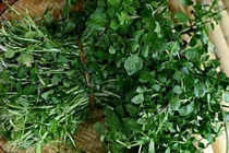 Bất ngờ loại “rau tốt nhất thế giới” bán đầy ở chợ Việt