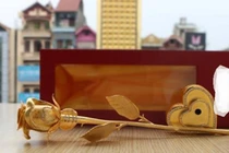 Top những loại hoa “độc” được săn đón dịp 20/10