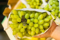 Nho móng rồng hơn 1 triệu đồng/kg nhà giàu Việt ùn ùn mua có gì đặc biệt?