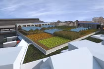 Mướt mắt trang trại rau khổng lồ trên nóc siêu thị 