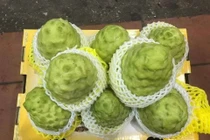 Na “khủng" nửa triệu/quả có gì đặc biệt mà dân tình đổ xô đi mua?