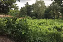 Hai siêu dự án rùa bò nào được TPHCM đổ tiền hồi sinh?