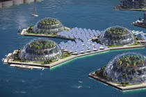 Kỳ quặc thú mua vui của tỷ phú thế giới 