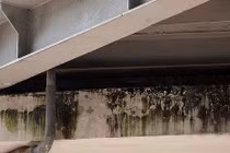 Chân công trình tỷ đô Cát Linh-Hà Đông: Người trồng rau, kẻ bán nước