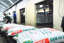 Đạm Bắc Hà lỗ lũy kế, âm vốn sở hữu, Tổng giám đốc mới có đủ sức cứu vớt?