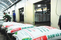 Đạm Bắc Hà lỗ lũy kế, âm vốn sở hữu, Tổng giám đốc mới có đủ sức cứu vớt?