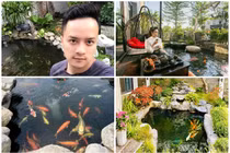 Hồ cá Koi tiền tỷ trong nhà sao Việt ai nhìn cũng "trầm trồ"