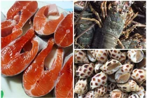 Hải sản đắt đỏ chỉ ở nhà hàng hạ giá bán đầy chợ, "đỏ mắt" tìm người mua