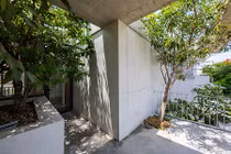 Báo ngoại choáng với nhà có cây đâm xuyên ở Sài Gòn